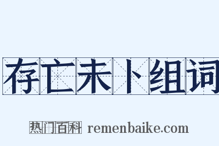 存亡未卜组词是什么意思的图片